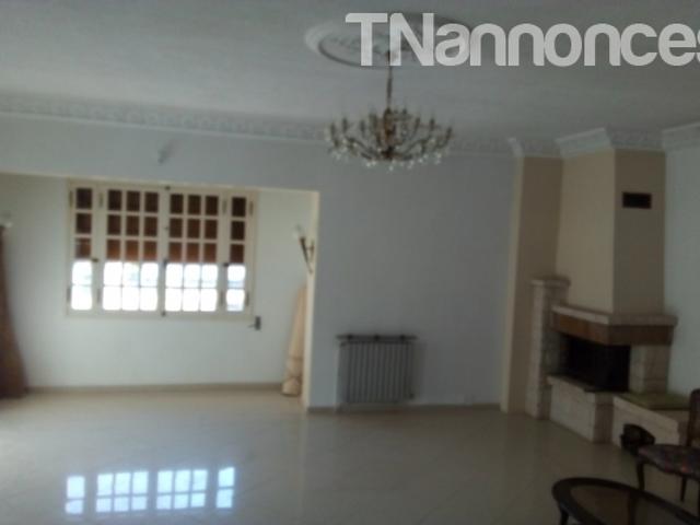 Appartement location