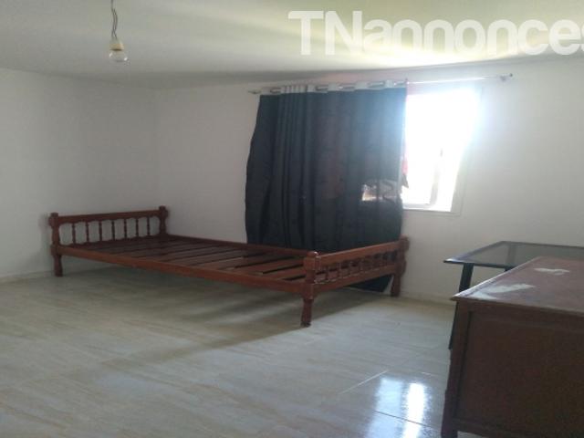 Appartement location