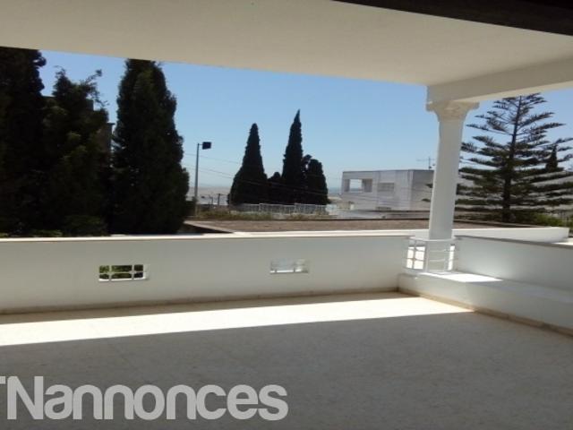 Appartement location