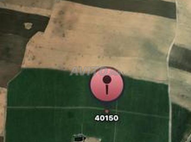 Propriété location à Al Haouz, L'Oriental