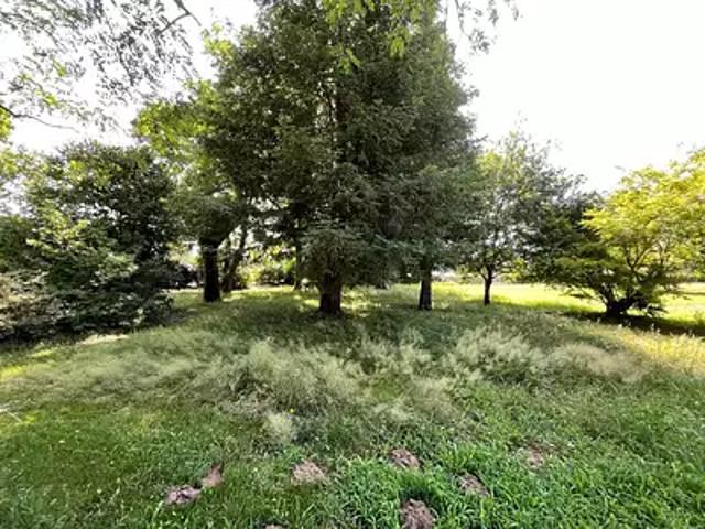 Terrain vente à France métropolitaine, Louer