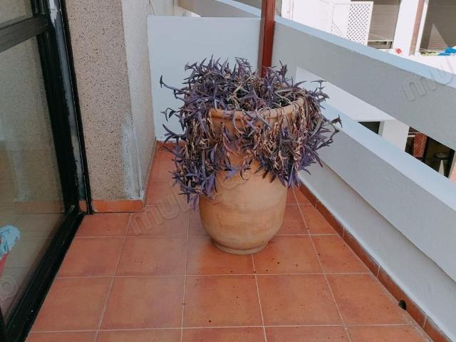 Appartement location à Rbat