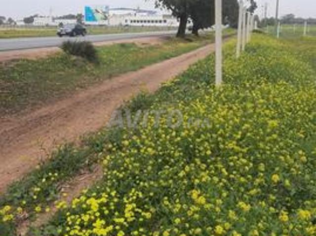 Propriété location à Gharb-Chrarda-Beni Hssen