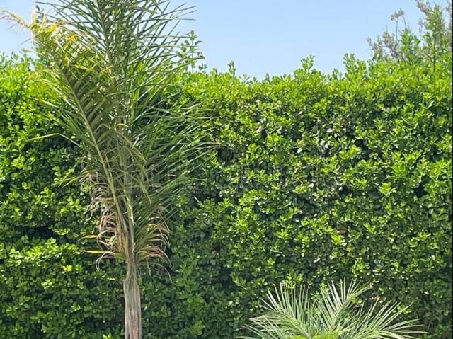 Appartement location à Fès