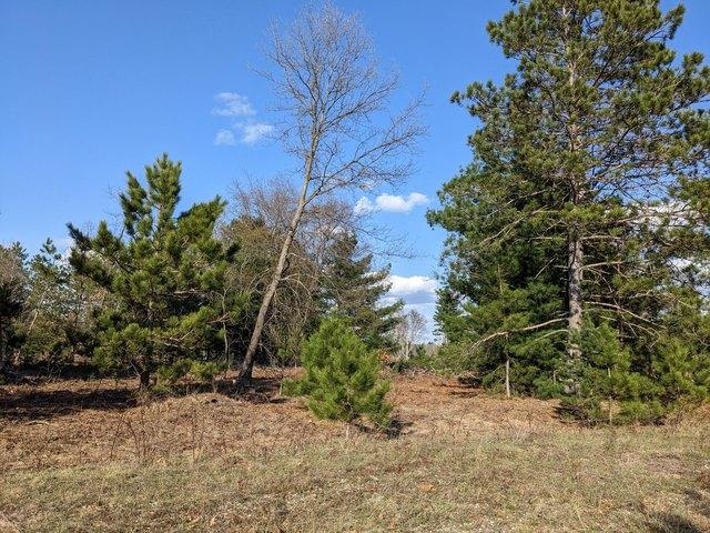 Land for sale in Kaleva, Michigan
