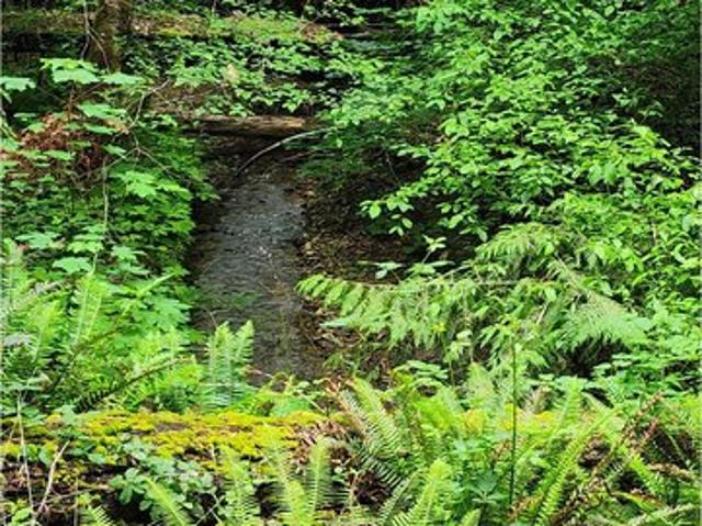 Land for sale in Oregonia