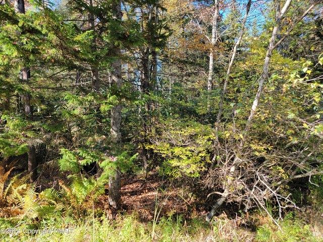 Land for sale in Gouldsboro, Lehigh Township