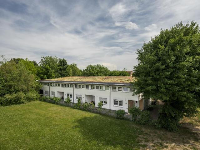 Apartment mieten in Minderslachen, Kandel