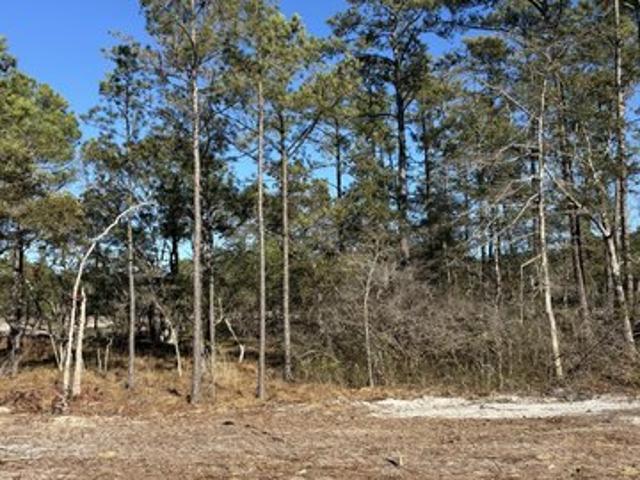 Land for sale in Southport, North Carolina