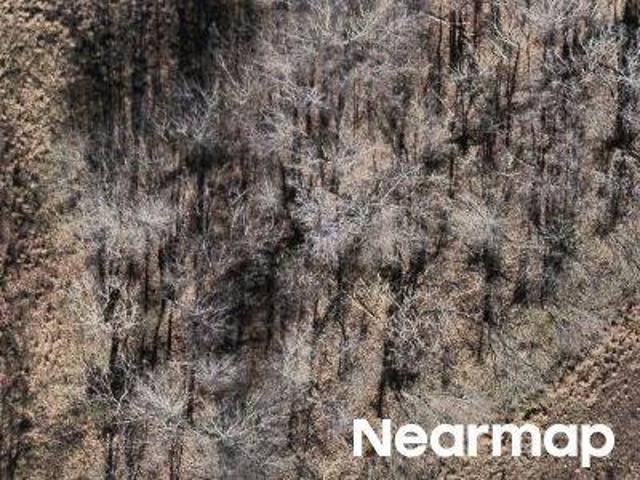 Land for sale in Byhalia, Mississippi