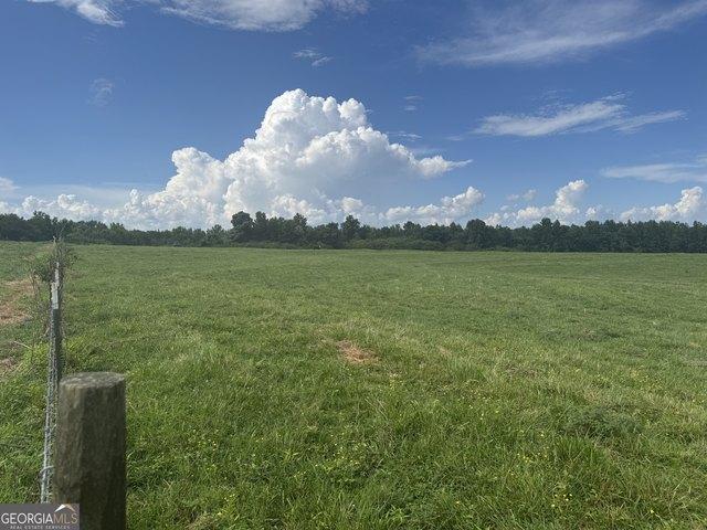 Land for sale in Roopville, Georgia