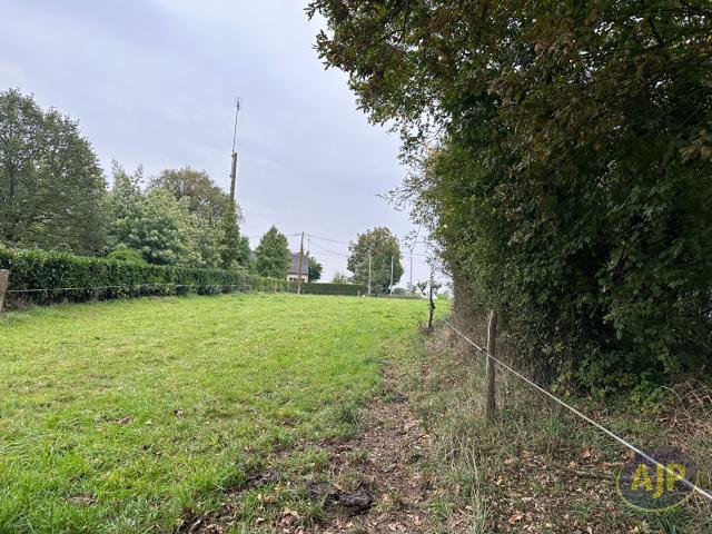 Terrain vente à Châteaubriant-Ancenis, Louisfert