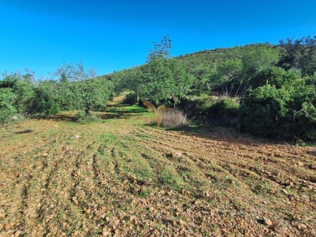 Terreno venda em Loulé, Faro
