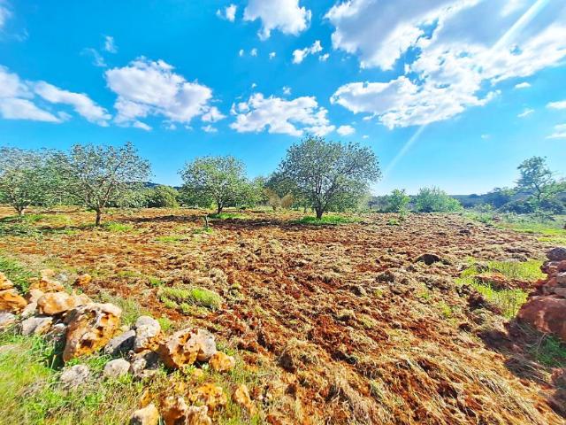 Terreno venda em Loulé, Faro