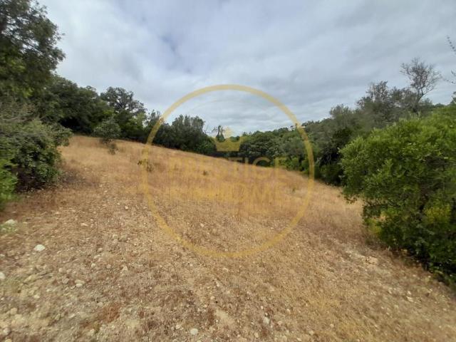 Terreno venda em Loulé, Faro