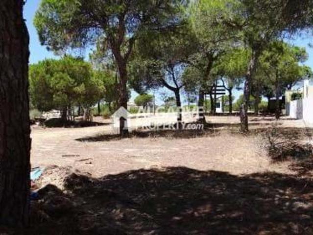 Terreno venda em Almancil, Loulé