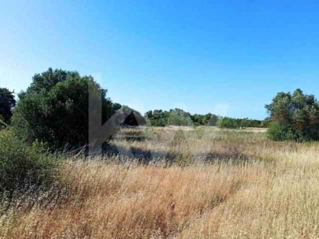 Terreno venda em Loulé, Faro