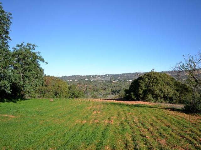 Terreno venda em Loulé, Faro