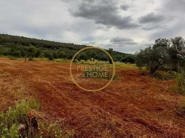 Terreno venda em Loulé, Faro