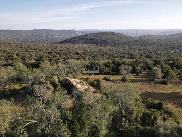 Terreno venda em Loulé, Faro