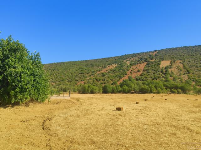 Terreno venda em Benafim, Faro