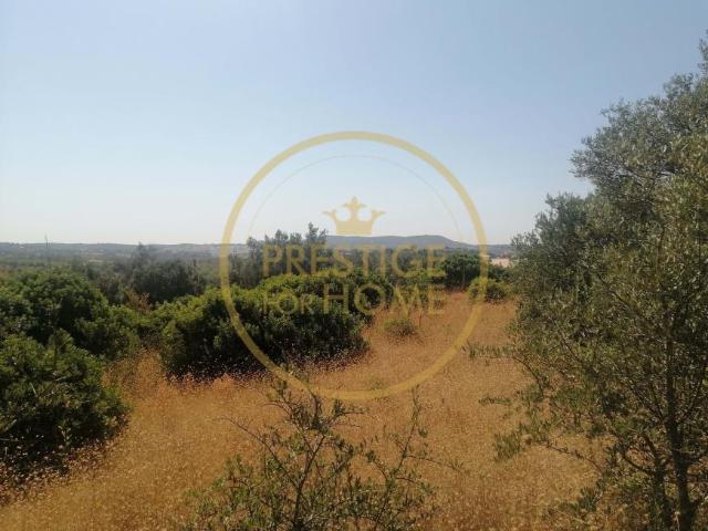 Terreno venda em Loulé, Faro