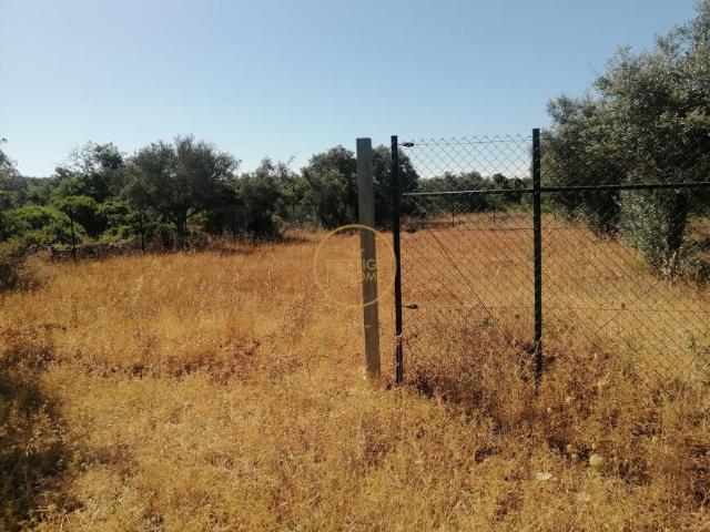 Terreno venda em Loulé, Faro