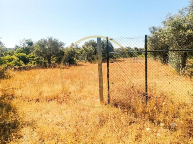 Terreno venda em Loulé, Faro