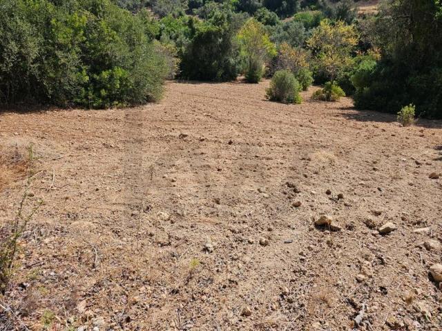 Terreno venda em Loulé, Faro
