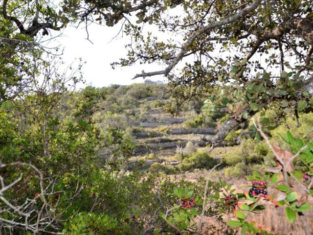 Terreno venda em Loulé, Faro