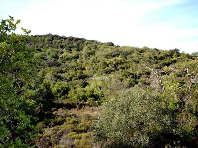 Terreno venda em Loulé, Faro