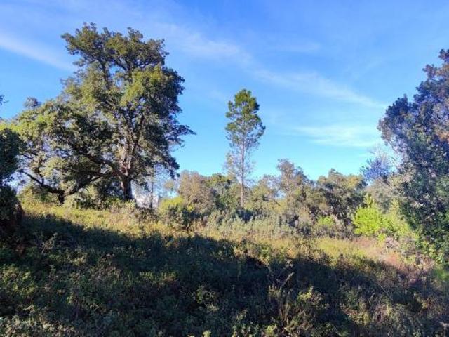 Terreno venda em Loulé, Faro