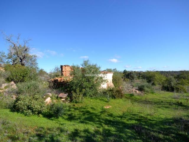Terreno venda em Loulé, Faro