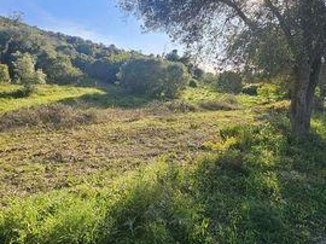 Terreno venda em Loulé, Faro