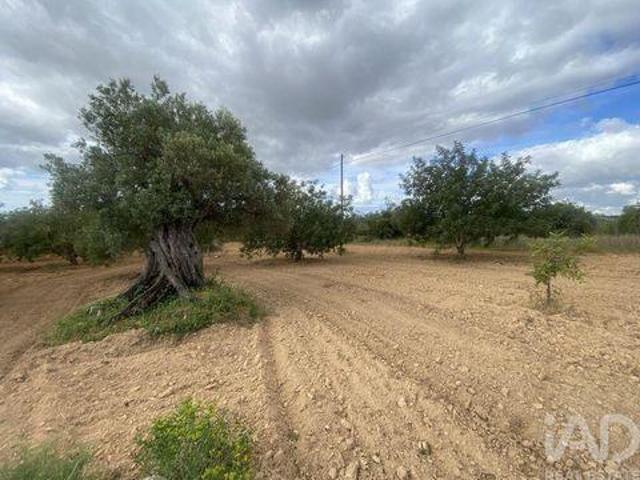Terreno venda em Loulé, Faro