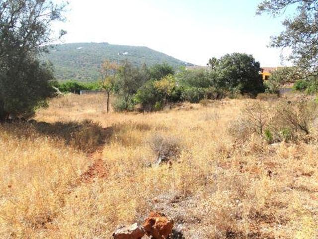 Terreno venda em Loulé (São Clemente), Loulé