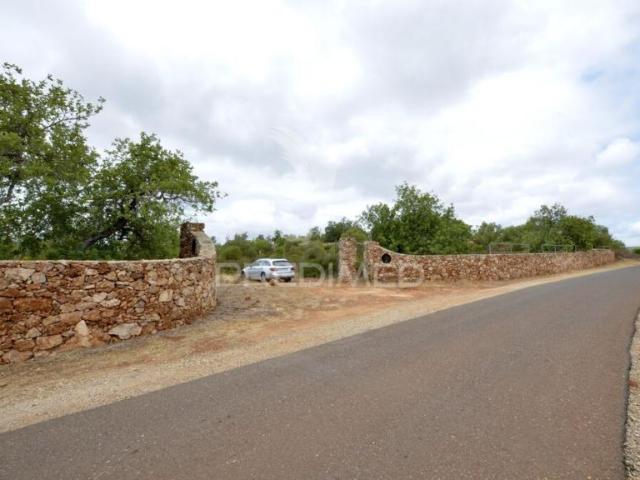 Terreno venda em Faro