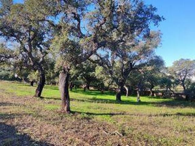 Terreno venda em Loulé, Faro