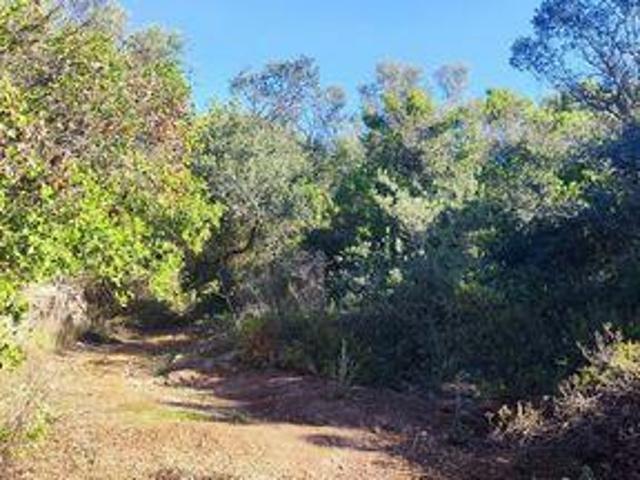 Terreno venda em Palmeiros, Loulé