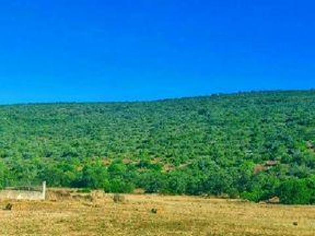 Terreno venda em Funchais, Loulé