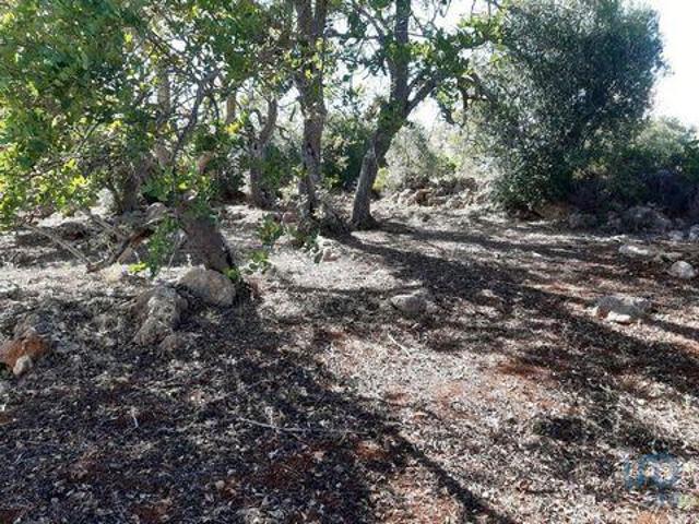 Terreno venda em Nave dos Cordeiros, Loulé