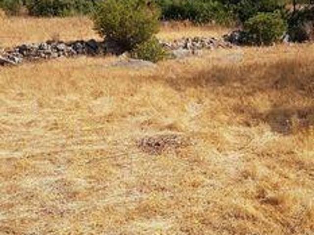 Terreno venda em Loulé, Faro