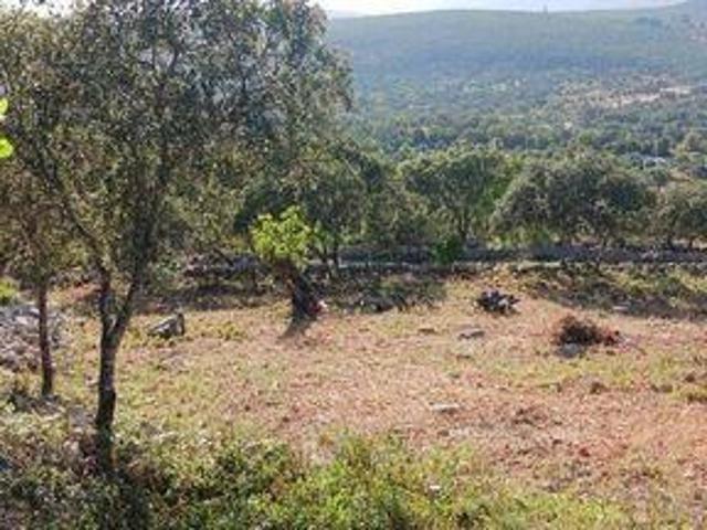 Terreno venda em Loulé, Faro