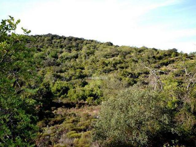 Terreno venda em Varejota, Loulé