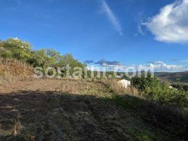 Terreno venda em Loulé, Faro