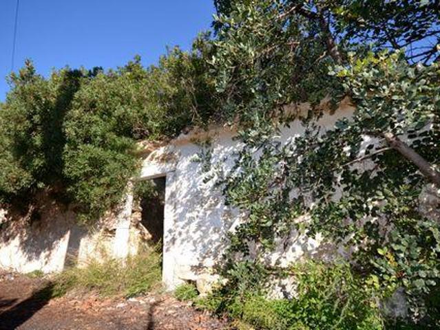 Terreno venda em Lagoa de Momprolé, Loulé