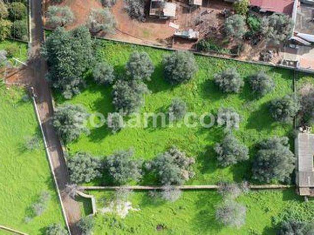 Terreno venda em Cabeço da Câmara, Loulé