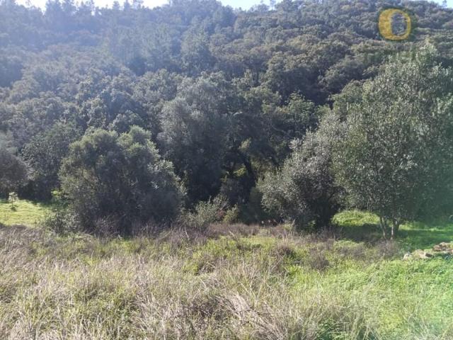Terreno venda em Loulé, Faro