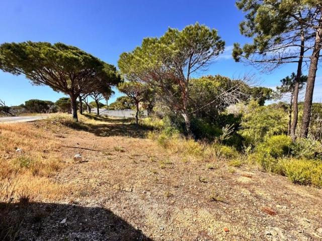 Terreno venda em Loulé, Faro