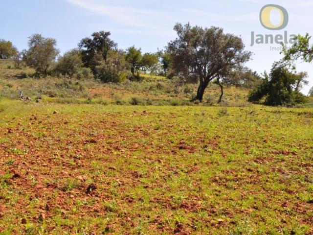 Terreno venda em Loulé, Faro